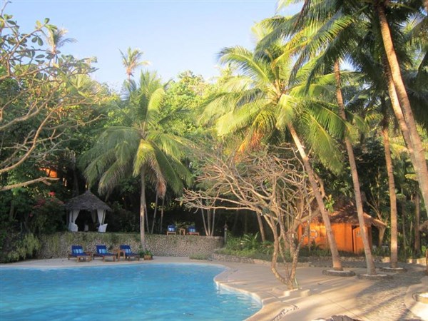 Coco Grove Beach Resort bazén | Coco Grove Beach Resort