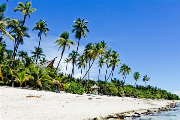 Coco Grove Beach Resort pláž | Coco Grove Beach Resort