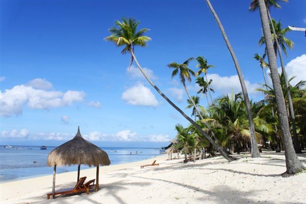 Coco Grove Beach Resort pláž | Coco Grove Beach Resort