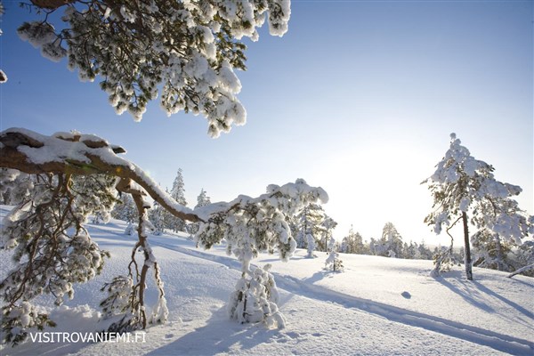 Laponsko - Polární záře v Igloo zasněžená krajina | Laponsko - Polární záře v Igloo