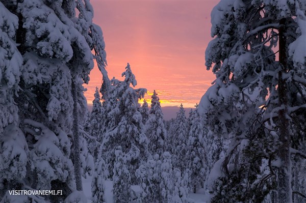Laponsko - Za polární kruh zasněžená krajina | Laponsko - Za polární kruh