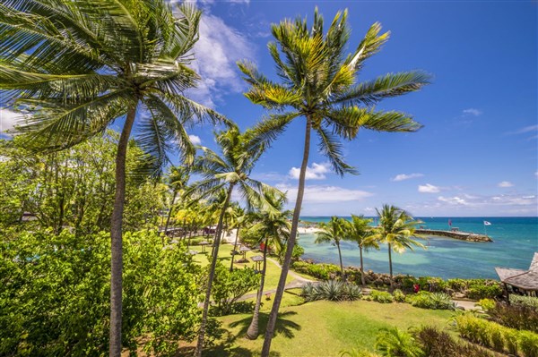 La Creole Beach Hotel & Spa palmy u břehu | La Creole Beach Hotel & Spa