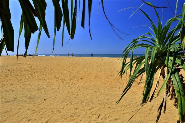 Hibiscus Beach Hotel pláž | Hibiscus Beach Hotel