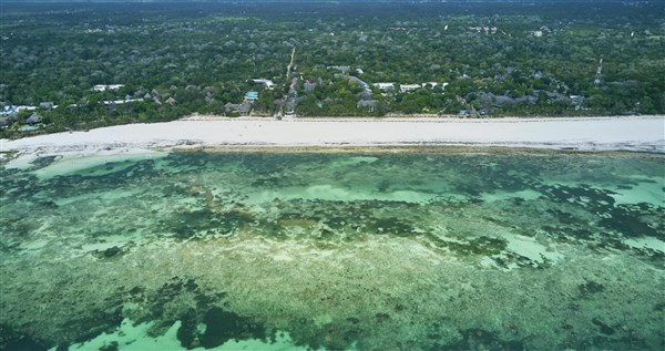 Papillon Lagoon Reef