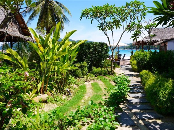 Bubu Island Resort zahrada | Bubu Island Resort