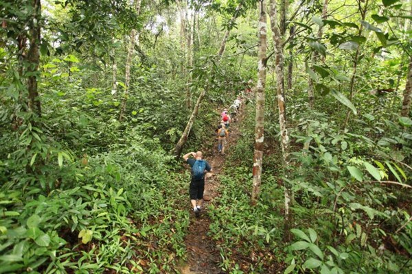 OKRUH BORNEO SARAWAK procházka v pralese | OKRUH BORNEO SARAWAK