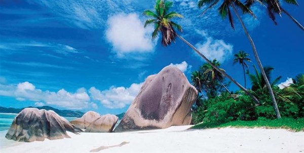Paradise Sun