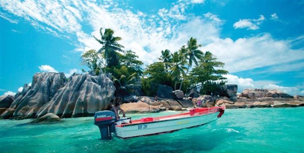 Paradise Sun