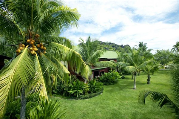 Paradise Sun