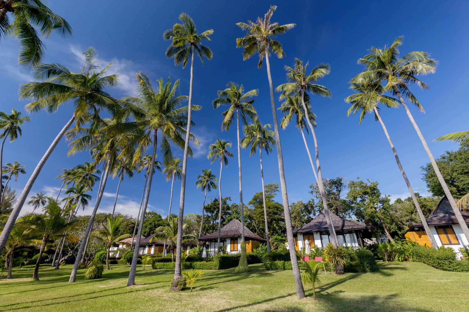 Vijitt Resort Phuket