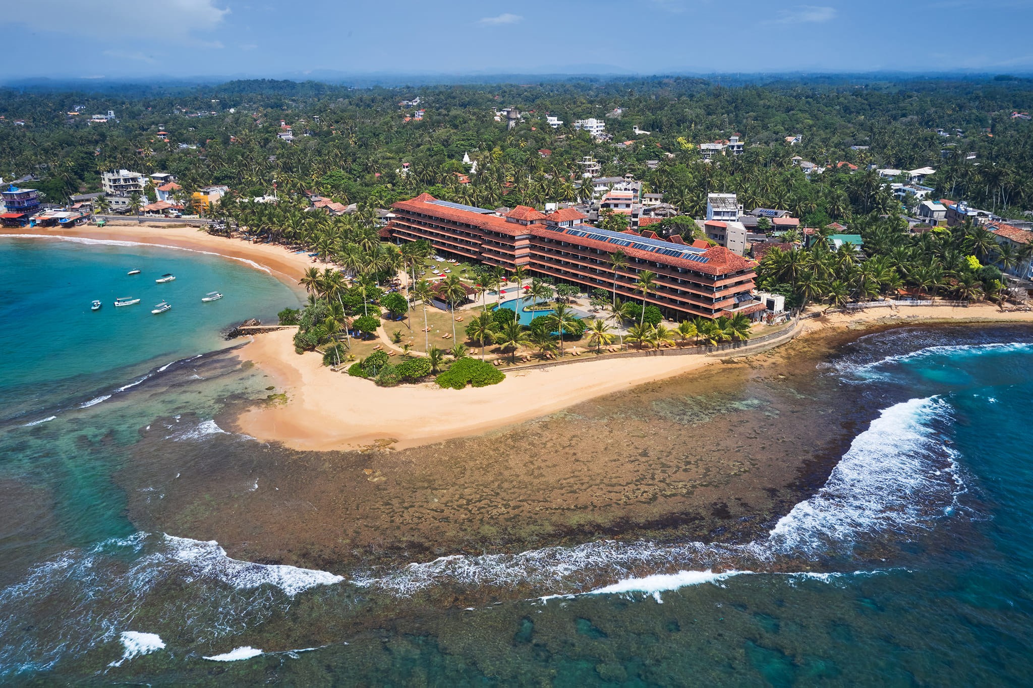 Hikka Tranz by Cinnamon