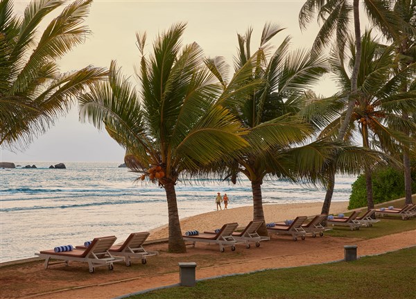 Hikka Tranz by Cinnamon palmy na pláži | Hikka Tranz by Cinnamon