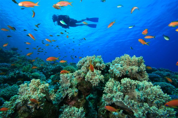 Yasawa Island Resort