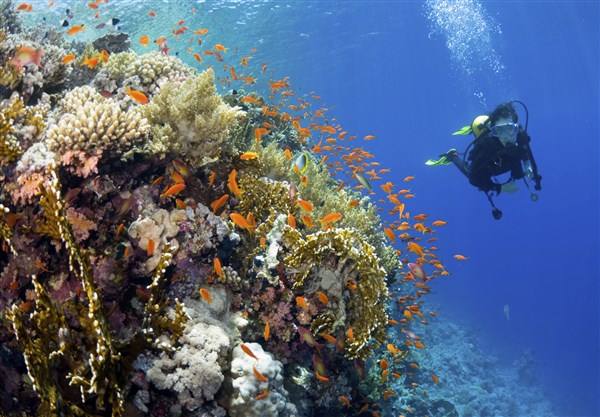Yasawa Island Resort