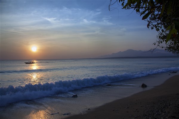 Nusabay Menjangan by WHM