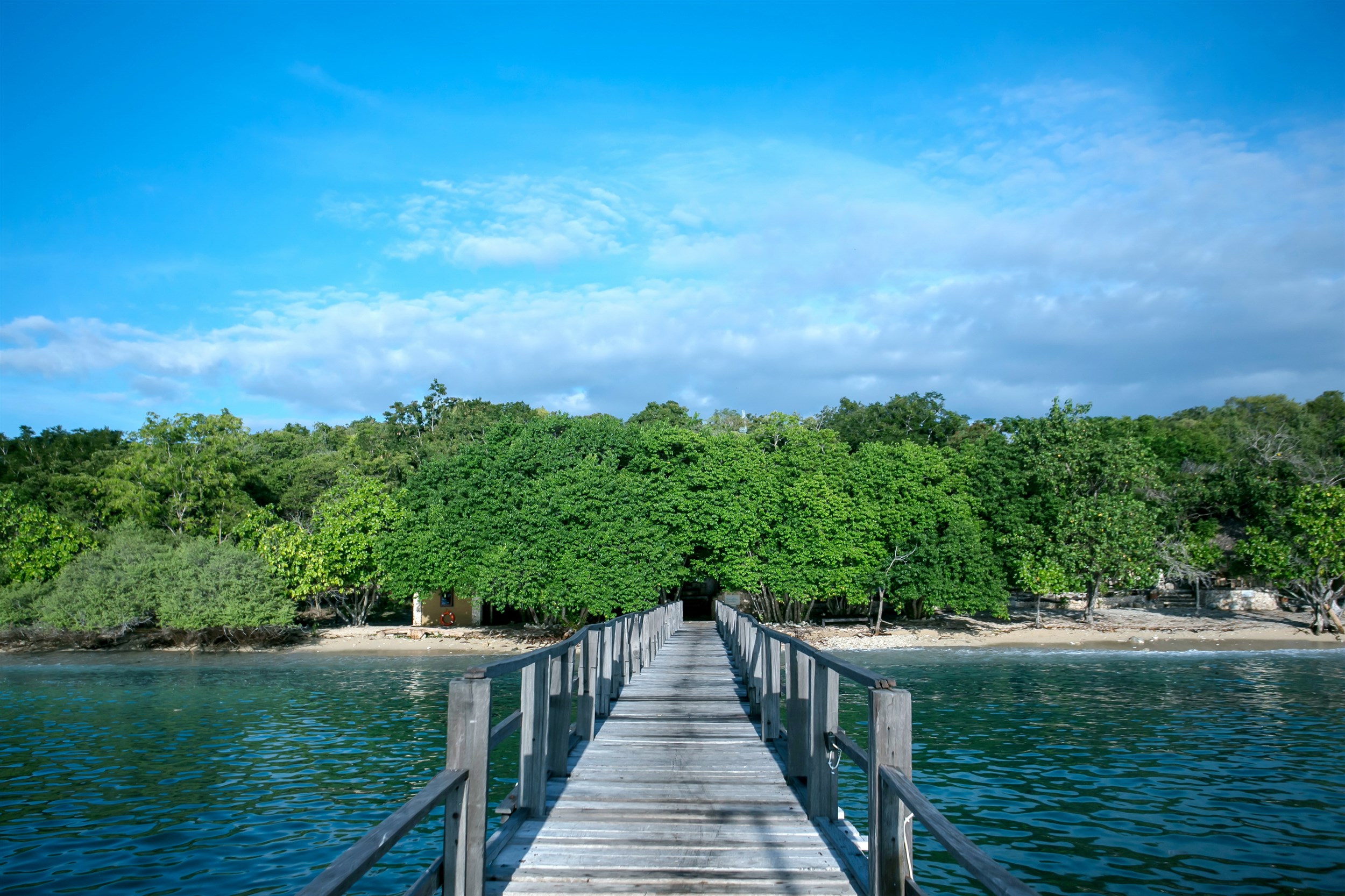 Nusabay Menjangan by WHM