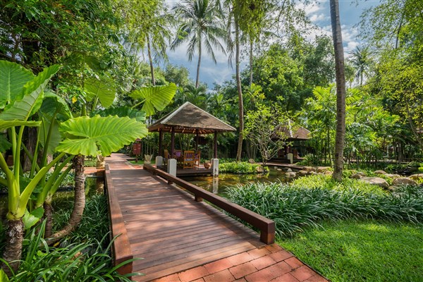 Chaweng Regent Beach Resort zahrada | Chaweng Regent Beach Resort