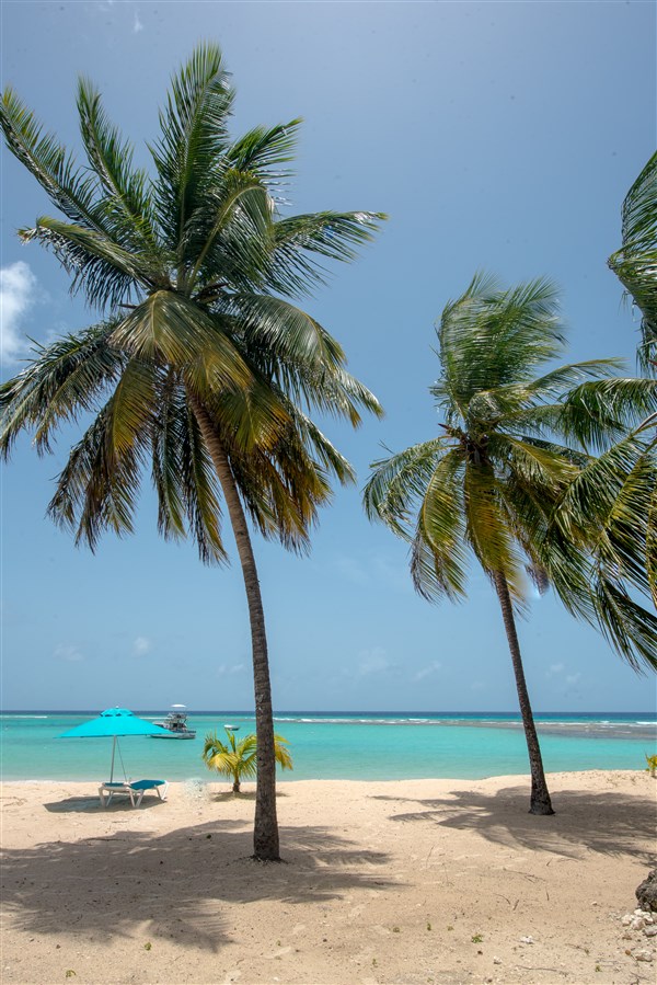 The Sands Barbados