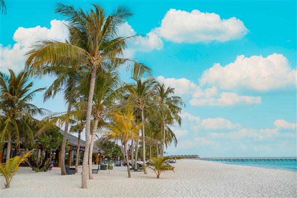 Brennia Kottefaru resort