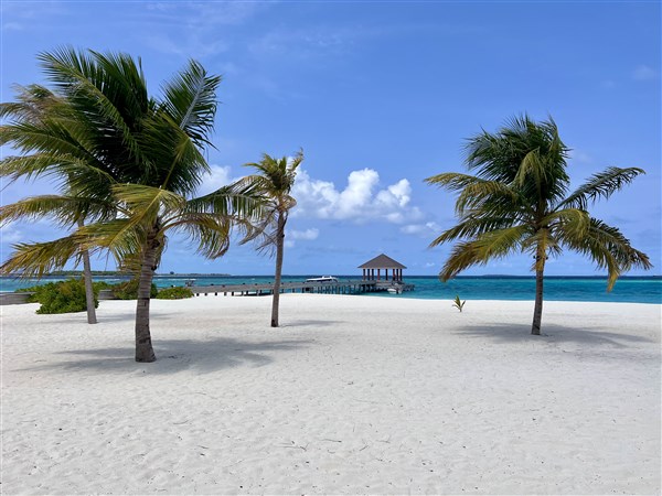 Brennia Kottefaru resort