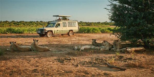 Smečka lvů pozoruje jeep na safari. | Safari v Keni s pobytem u moře + Dubaj citytour