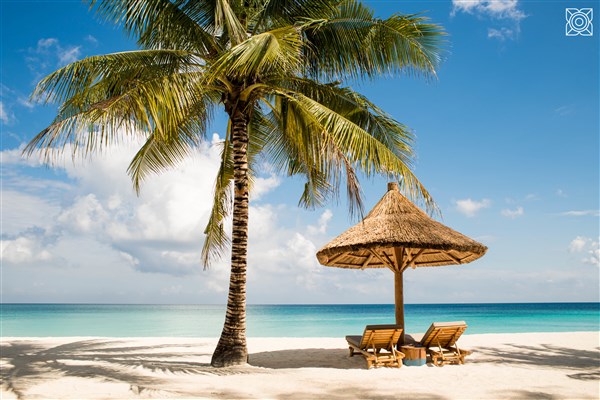 Zuri Zanzibar lehátko pod palmou s výhledem na moře | Zuri Zanzibar