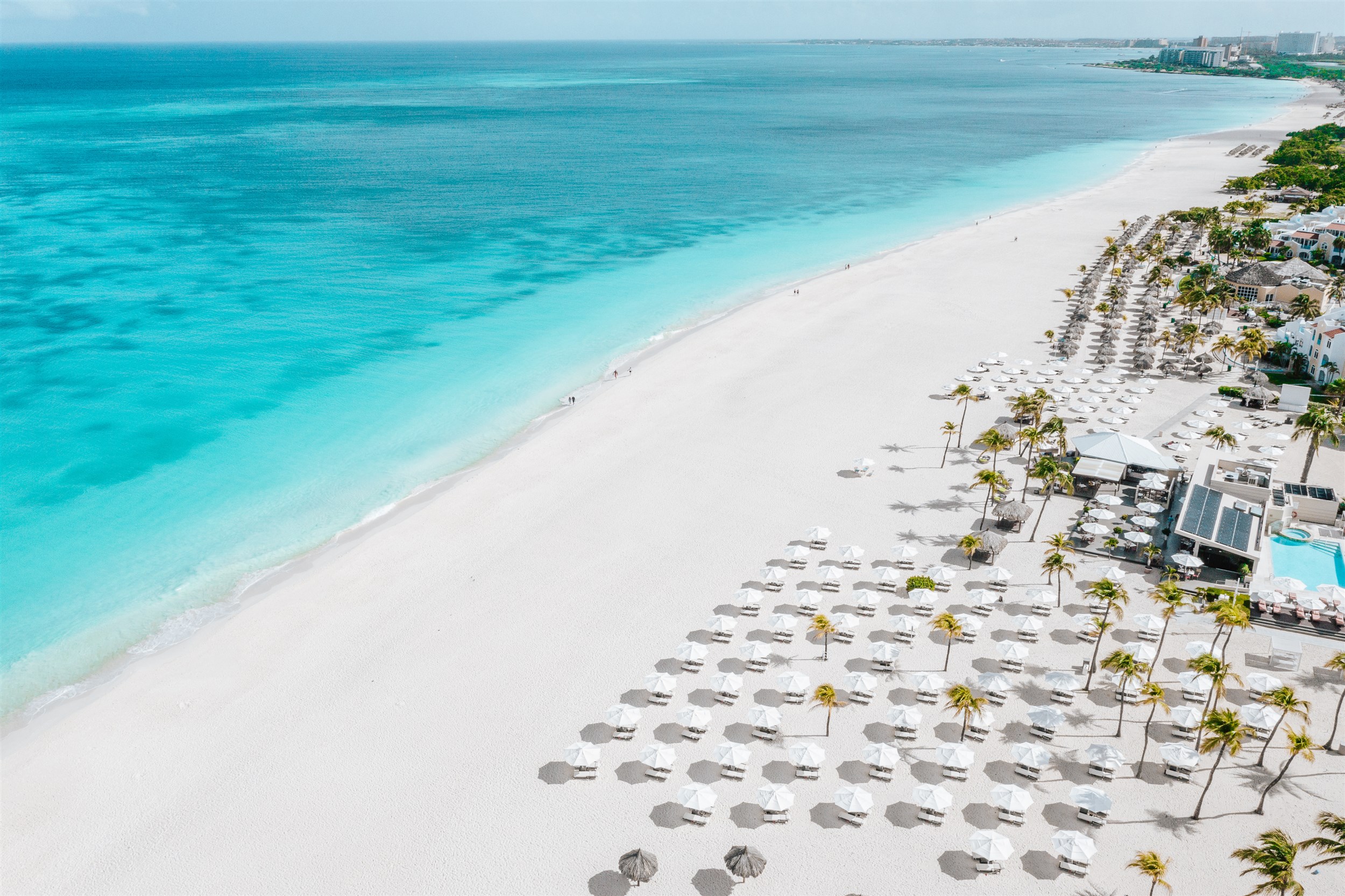 Bucuti & Tara Beach Resort