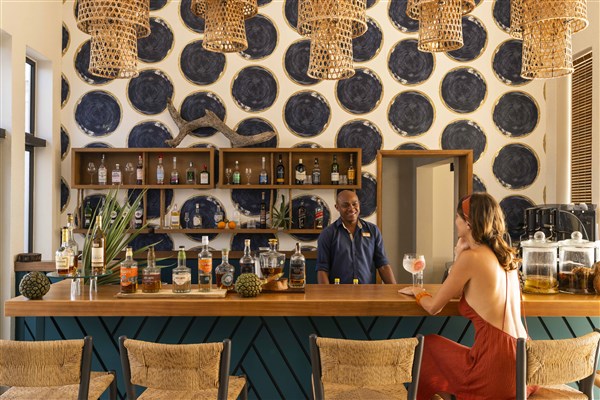 Constance Tekoma bar | Constance Tekoma Rodrigues