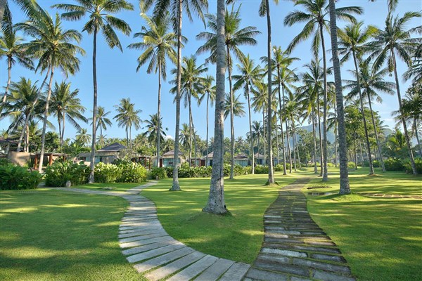 Hotelová zahrada s palmami | Candi Beach Resort & Spa