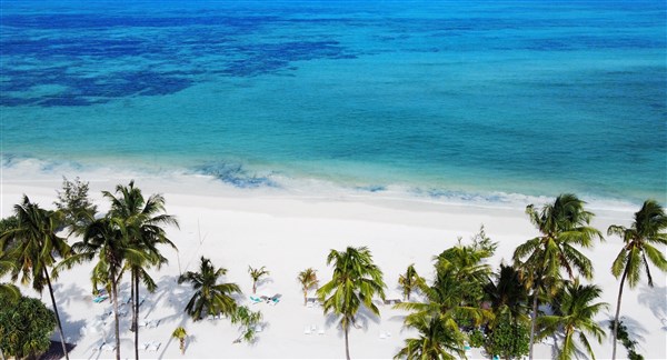 Pláž s palmami u moře. | LUX* Marijani