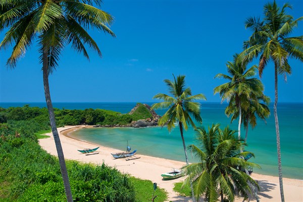 Pláž s palmami | Shinagawa Beach Hotel