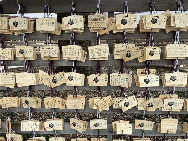 TO NEJLEPŠÍ Z HONŠÚ