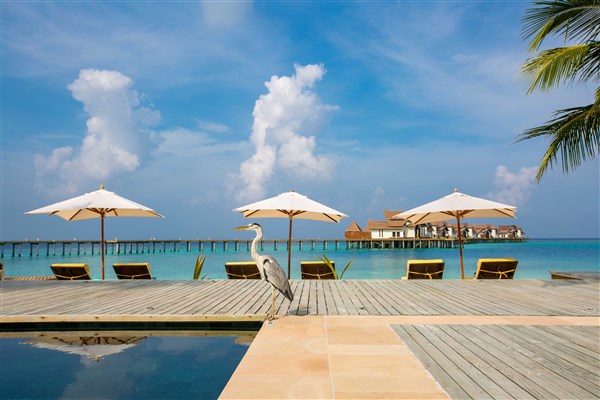 Ozen Reserve Bolifushi